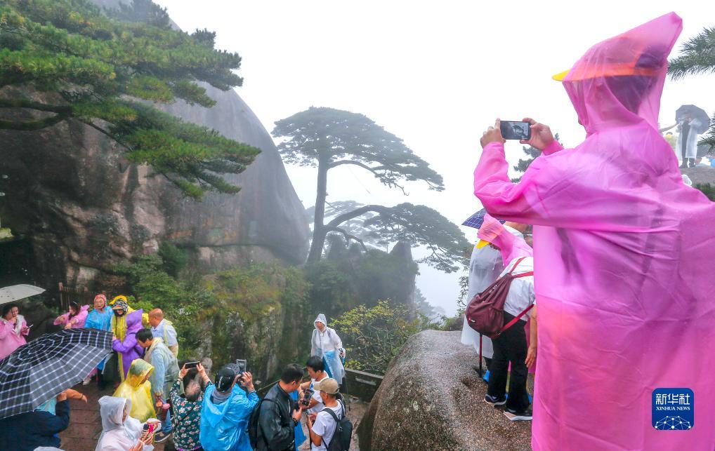 奔驰全新手机登录登不了